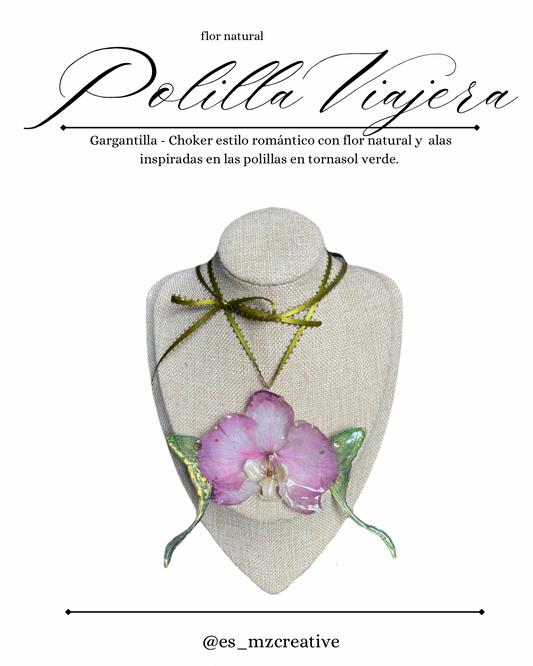 Polilla Viajera 🌸🌿