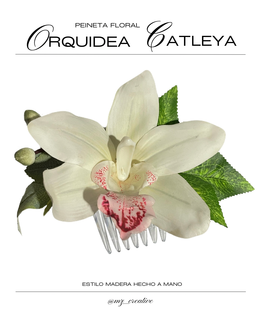 Catleya Blanca