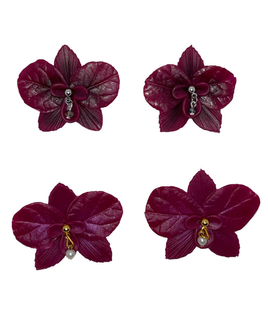 Uva negra 🍇